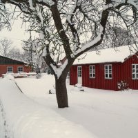 Winter auf dem Hansenhof